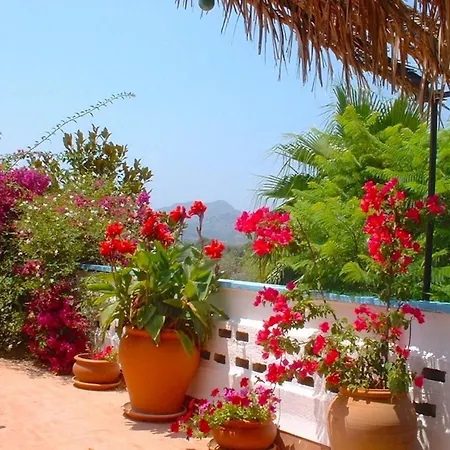 Soler By Sealand Alcúdia